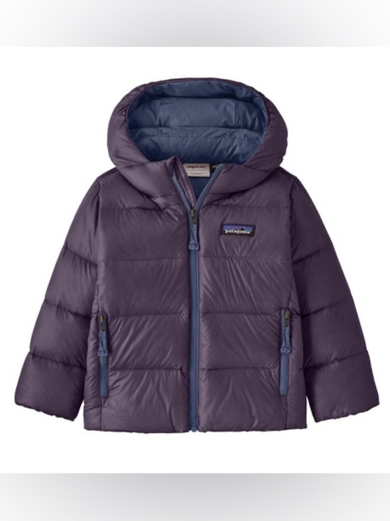 Patagonia Other - Patagonia Baby Hi-Loft Down Sweater™ Hoody in Plummet Purple